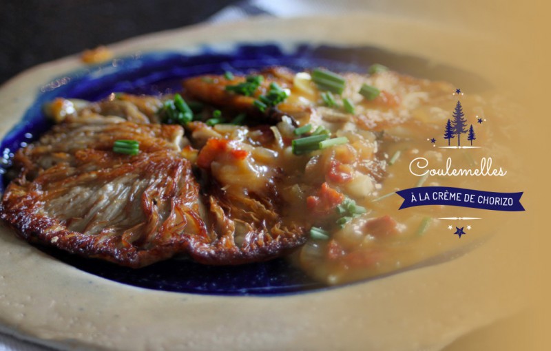 Cuisiner des coulemelles à la crème de chorizo